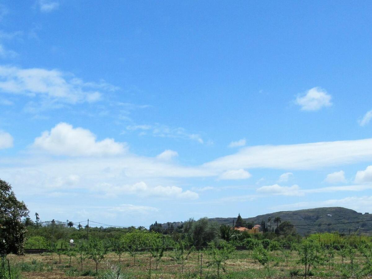 Casa Rural El Alpendre Vega de San Mateo Esterno foto