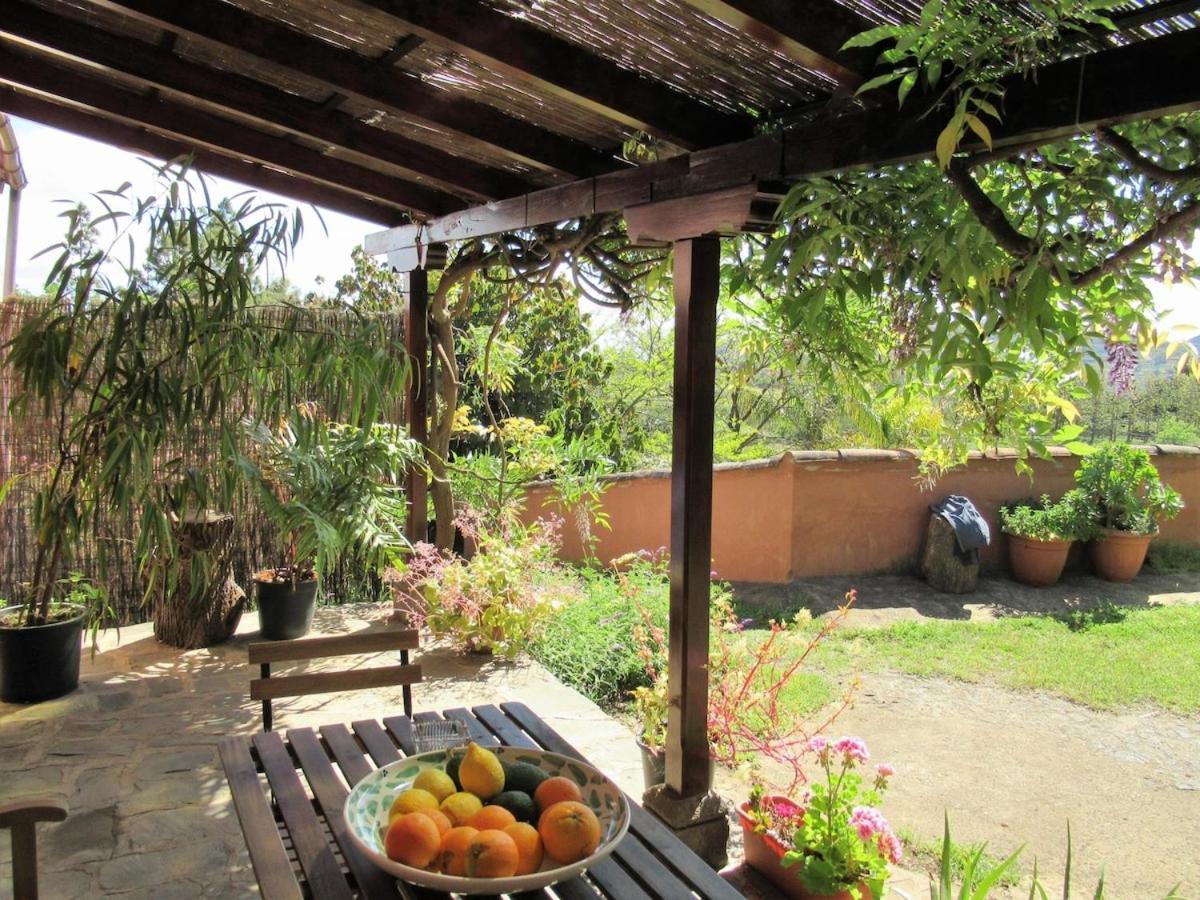 Casa Rural El Alpendre Vega de San Mateo Esterno foto