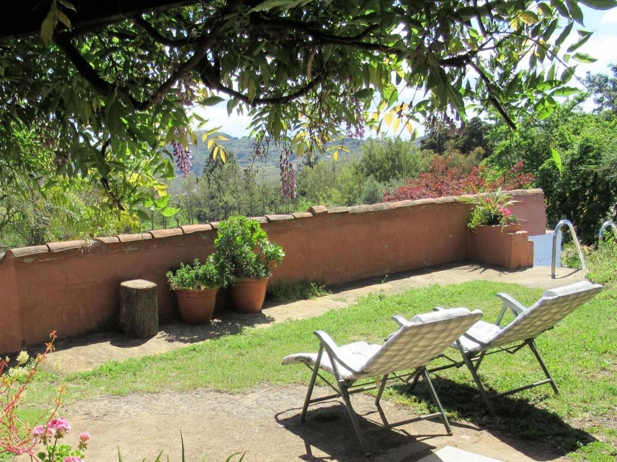 Casa Rural El Alpendre Vega de San Mateo Esterno foto
